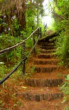 Foto: Pedro Mejía. Foto: Pedro Mejía.