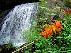 Foto: Héctor Roldán. Foto: Héctor Roldán.