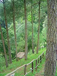 Foto: Pedro Mejía. Foto: Pedro Mejía.