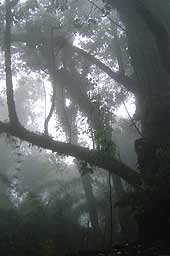 Segundo ascenso. La visibilidad mejoró y nos dirigíamos a recuperar el equipo. Segundo ascenso. La visibilidad mejoró y nos dirigíamos a recuperar el equipo.