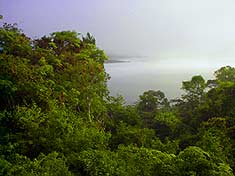 Foto: Edgar Estrada.