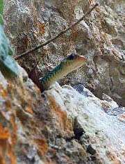 Cueva de las dos horas en Finca Ixobel, Petén