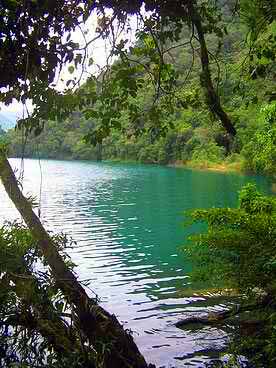 Foto cortesía de http://www.fotosdeguatemala.com Foto cortesía de http://www.fotosdeguatemala.com