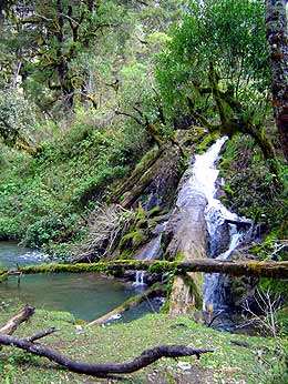 Laguna de Magdalena, un segundo Semuc Champey