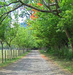 Minutos antes de la entrada a la playa. Foto por: Pedro Mejía