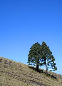 El paisaje es una joya, durante todo el trayecto. El paisaje es una joya, durante todo el trayecto.