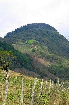 Un espeso bosque corona al volcán Quetzaltepeque. Un espeso bosque corona al volcán Quetzaltepeque.