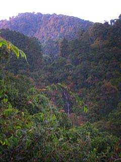 A lo lejos se divisa una cascada que se esconde en el valle. (Difícil foto por la hora, falta de luz y ubicación... una roca a la orilla del barranco).