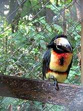 Foto cortesía de www.fotosdeguatemala.com Foto cortesía de www.fotosdeguatemala.com