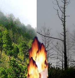 Ambas fotos son de la parte alta del Volcán Acatenango, escoge cuál panorama prefieres. Ninguna ha sido alterada digitalmente. Ambas fotos son de la parte alta del Volcán Acatenango, escoge cuál panorama prefieres. Ninguna ha sido alterada digitalmente.