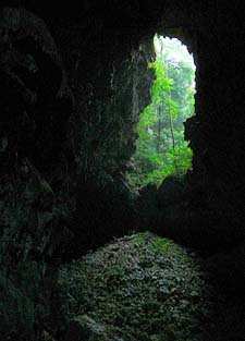 Derrumbe en Candelaria. Fotografía por Explorador