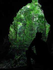 Vista hacia el bosque. Fotografía por Explorador