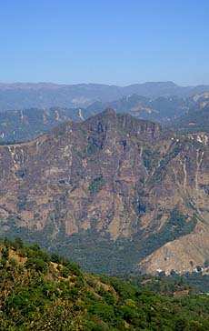 Cara de Maya, el Cristalino