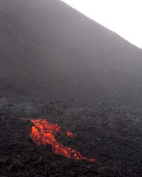 Río de lava visto desde el sendero. Foto: Explorador.