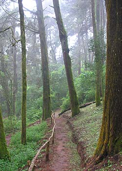 Cómo resistirse a un ambiente así para ejercitarse...