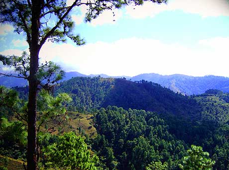 Verdosidad de los altos de la Sierra en Zacapa.