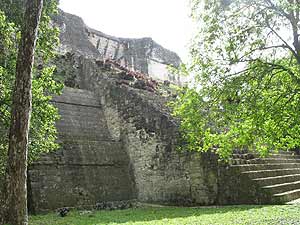 Para esta época Tikal era una ciudad abandonada y cubierta de vegetación. Para esta época Tikal era una ciudad abandonada y cubierta de vegetación.