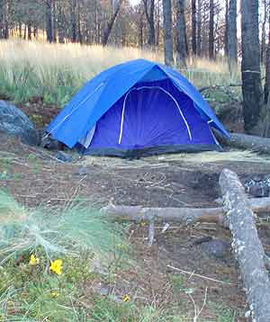 Cómo armar y usar correctamente la carpa o tienda de campaña