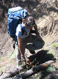 La paciencia es la clave.