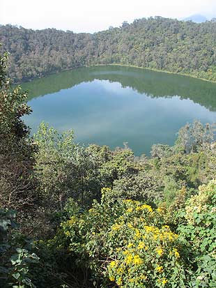 El color verde es el reflejo de la vegetación. El color verde es el reflejo de la vegetación.