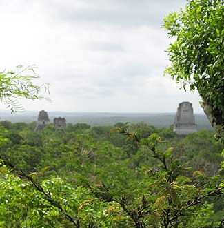 Tikal yacía oculto entre la selva durante la conquista española. Tikal yacía oculto entre la selva durante la conquista española.