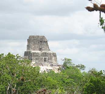 Templo IV de Tikal.