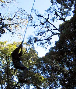 Las vacaciones son descanso pero no te columpies: planifica.