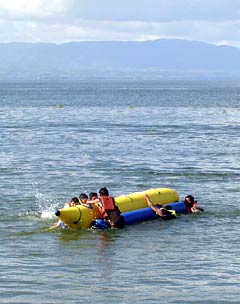Cada miembro de la familia requiere atención diferente. Cada miembro de la familia requiere atención diferente.