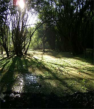 Un viaje inolvidable a Petén