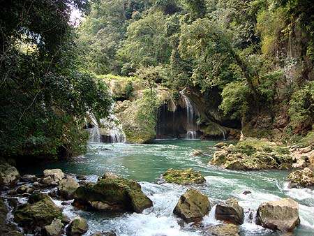 Belleza natural de Semuc Champey Belleza natural de Semuc Champey