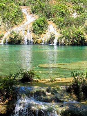 Aguas cristalinas de Semuc Champey. Aguas cristalinas de Semuc Champey.