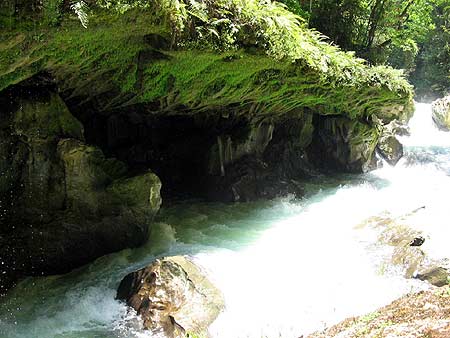 Magia y belleza en Semuc Champey