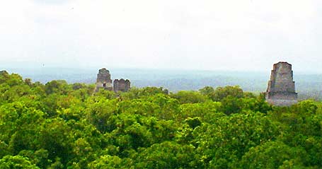 Incomparable vista de la majestuosa Tikal, desde el Templo IV Incomparable vista de la majestuosa Tikal, desde el Templo IV