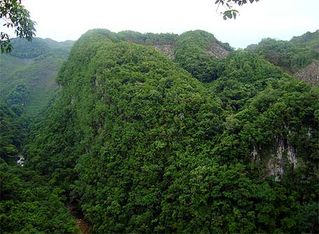 Viaje a Semuc Champey