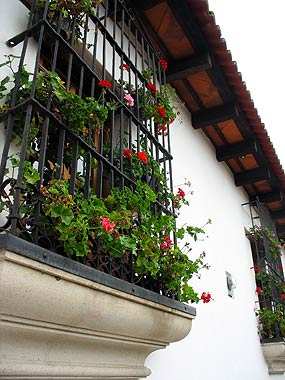 Geranios, flores en el Balcón