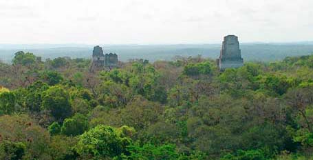 Petén por la mañana