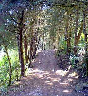 Foto por Bitelio Porres.