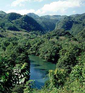 Los mosquitos pueden ser un problema en sitios remotos, húmedos y calurosos, Los mosquitos pueden ser un problema en sitios remotos, húmedos y calurosos,