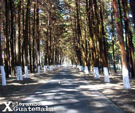 Parque ecológico de Florencia