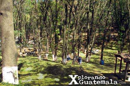 Parque ecológico de Florencia / foto 2