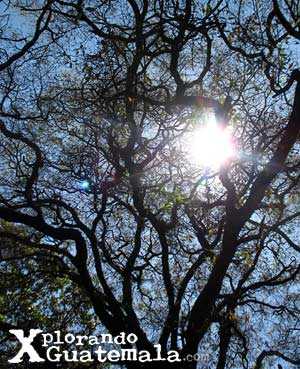 Parque ecológico de Florencia / foto 6