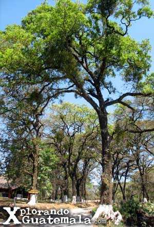 Parque ecológico de Florencia / foto 5