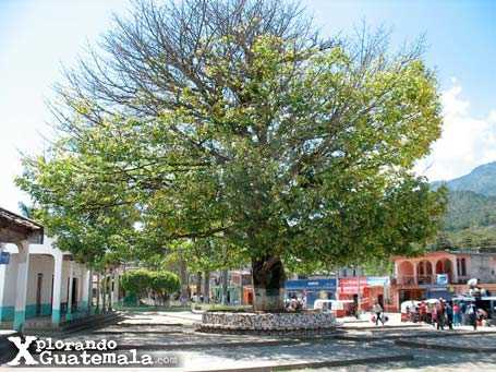 Chicamán Quiché / foto 3