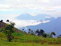 Foto: Will Enríquez.