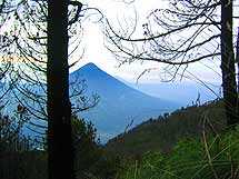 Foto: Will Enríquez.