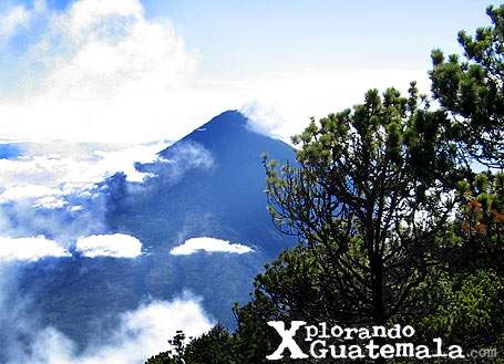 Ruta GPS: Volcán de Agua-foto-32--9-1-2014