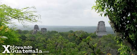Viaje relámpago a Tikal-foto-40--9-1-2014 Viaje relámpago a Tikal-foto-39--9-1-2014